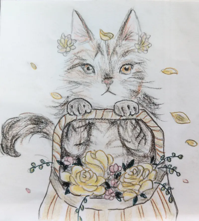 Hanna Neko