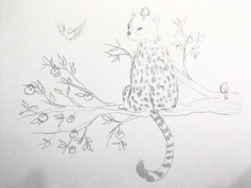 Wild Cat