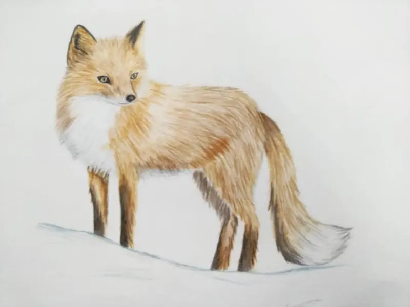 Fire Fox