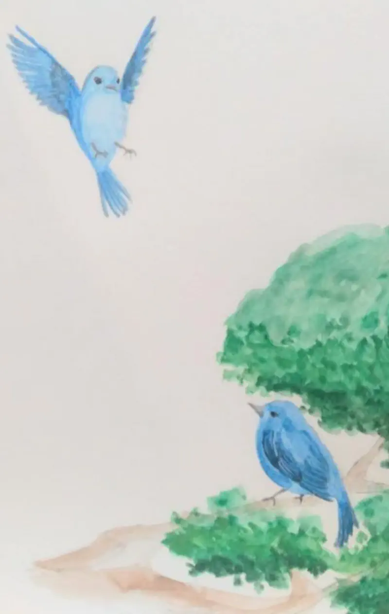Turtle Birds